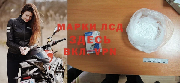 стафф Алзамай