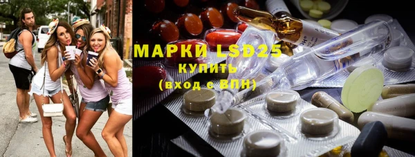 стафф Алзамай