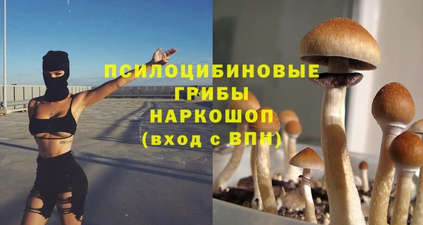 стафф Алзамай