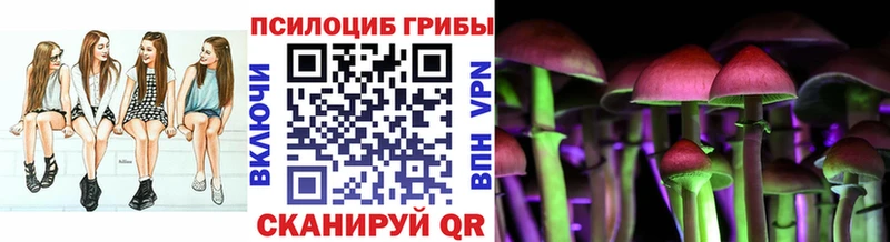 мега онион  Павлово  Галлюциногенные грибы Cubensis  как найти наркотики 