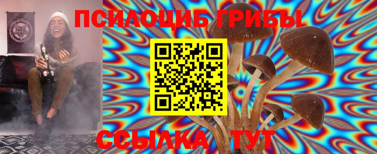 Псилоцибиновые грибы Psilocybine cubensis Павлово