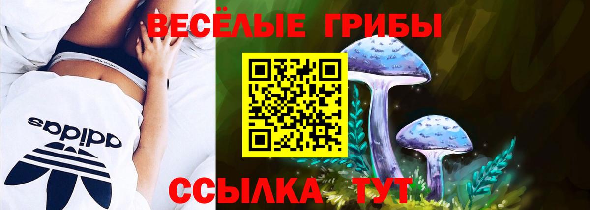 Галлюциногенные грибы ЛСД  Вход с VPN  Павлово 