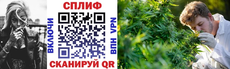 mega как зайти  купить наркотик  Павлово  МАРИХУАНА гибрид 